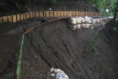 �����̑ꉺ���R�H��