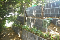 �����@�y����H��