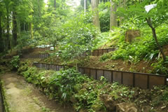 �x�m���z�e���y����ݒu�H��