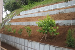 �Ό��@�@�@�ʕی�H��