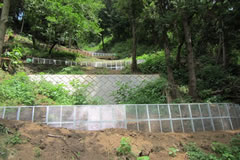 �S��������R�H��