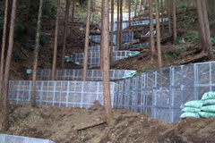 �����ѐ����H���i�O�������j