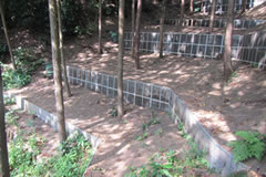 �����ѐ����H���i�O�������j