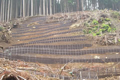 �����ъǗ��ϑ��Ɩ��i�����n��j