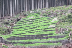 �����ъǗ��ϑ��Ɩ��i�����n��j