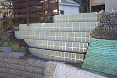 �͐���C�H���i�F����j