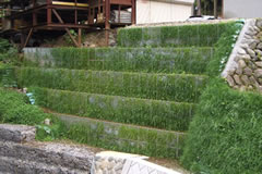 �͐���C�H���i�F����j