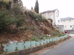 �x���y���H��