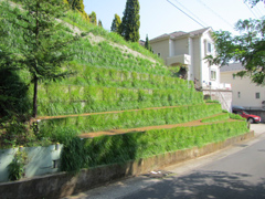 �x���y���H��