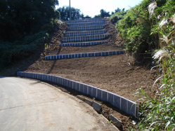 �S���t��@�ʕ�C�����̒���