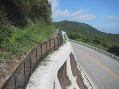 �^�[���p�C�N�A����