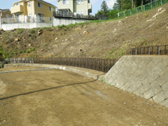 �����n�y����